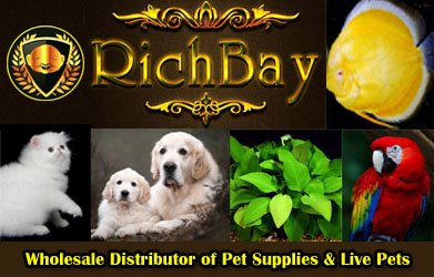 About us_richbay