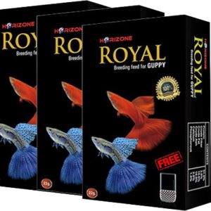 Royal Guppy feed 22g_richbay_set3