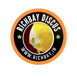 Richbay Discus logo