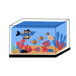 Fish & Aquarium