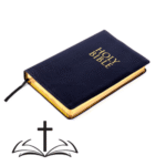 Bibles